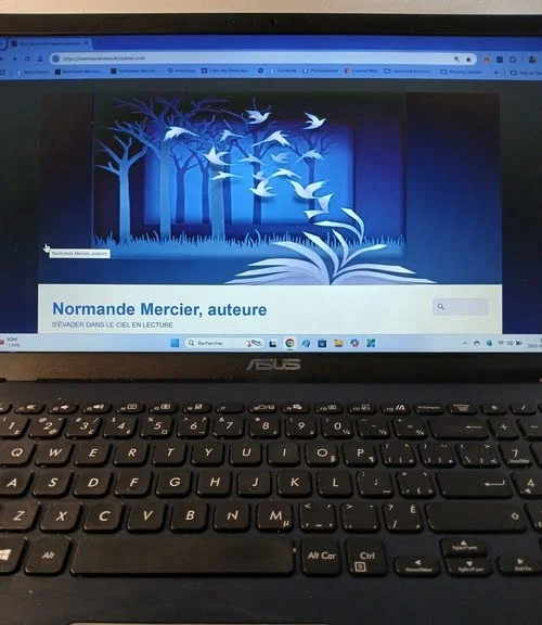 idée écrire livre siteWeb